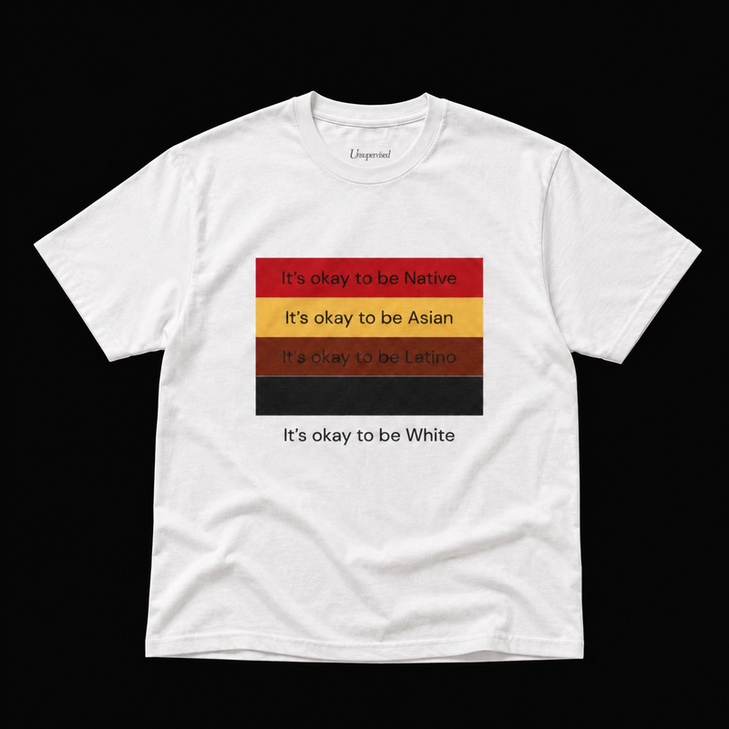 IT'S OKAY TO BE NATIVE, ... T-SHIRT