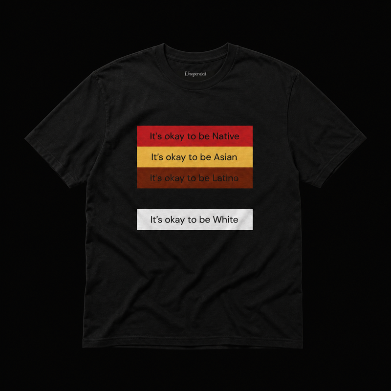 IT'S OKAY TO BE NATIVE, ... T-SHIRT