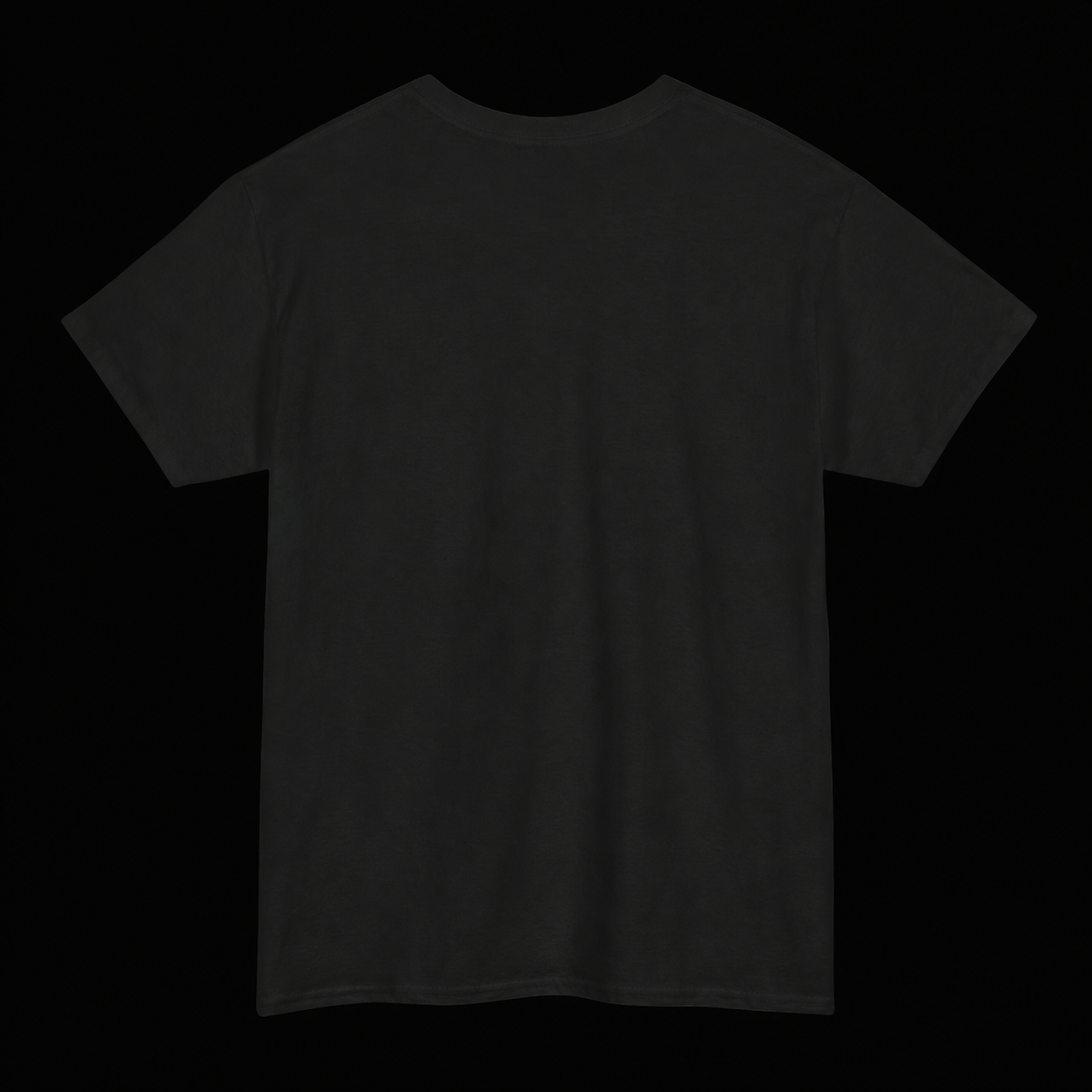 HOMOPHOBIA: CHROMAKOPIA PARODY T-SHIRT