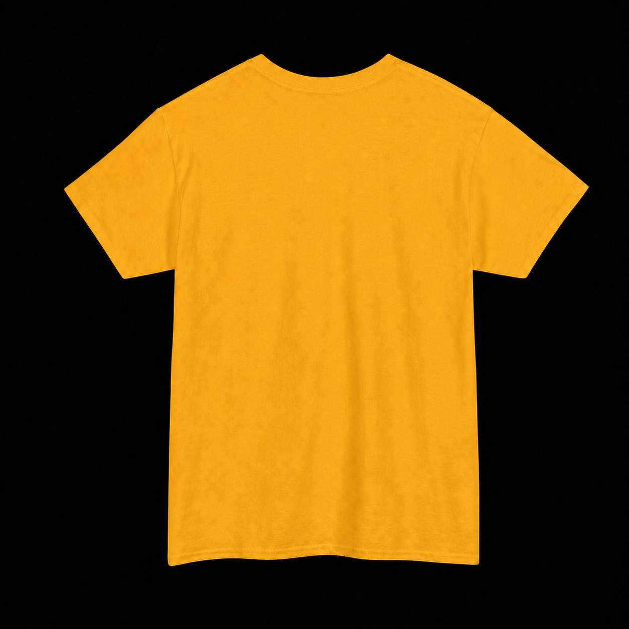 HOMOPHOBIA: CHROMAKOPIA PARODY T-SHIRT
